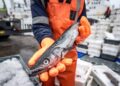 Namibia’s hake fishery secures second sustainability certification