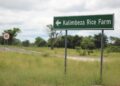 KALIMBEZA - The Brief | Namibia's Leading Business & Financial News Kalimbeza rice farm set to harvest more than 100 tonnes