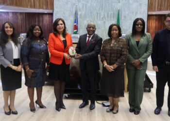 Egypt, Namibia eye deeper cooperation in energy, agriculture and healthcare