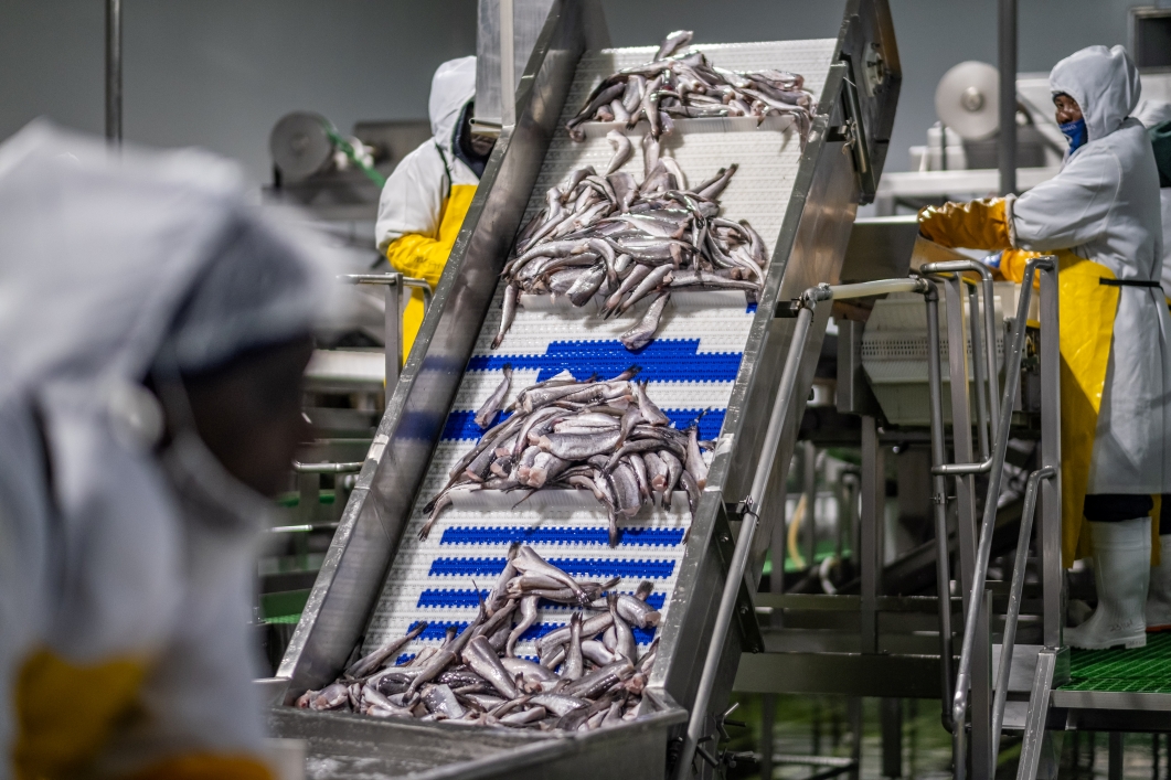 Projected Fish Production Namibia’s fishing sector production projected to rise to 414,000 tonnes ...