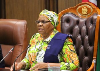 President pushes cabinet to fast-track NDP6 implementation