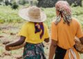 Namibia’s rural–urban gender divide poses long-term economic risk
