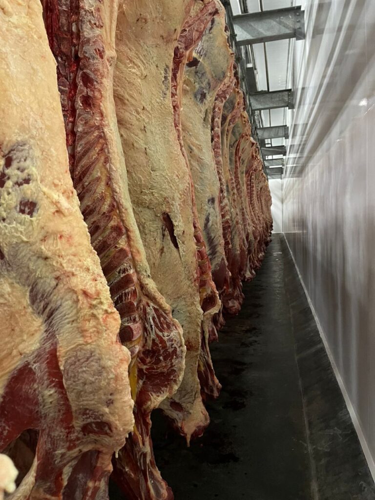 MEAT3 - The Brief | Namibia's Leading Business & Financial News