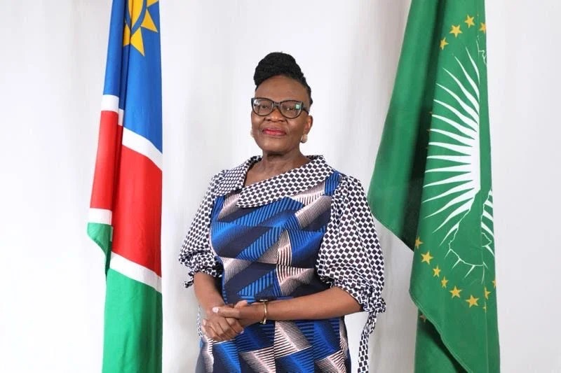 Selma Ashipala-Musavyi1 - The Brief | Namibia's Leading Business & Financial News