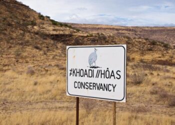 Conservancies generate N$142 million a year for Namibia’s rural communities