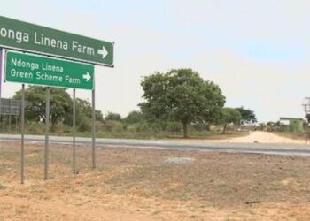 Ndonga Linena targets N$47.5m turnover as output rises