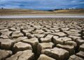 DROUGHT - The Brief | Namibia's Leading Business & Financial News Drought costing Namibia billions annually
