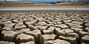Drought costing Namibia billions annually