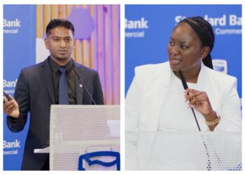 Standard Bank targets private sector energy transition with solar finance offering