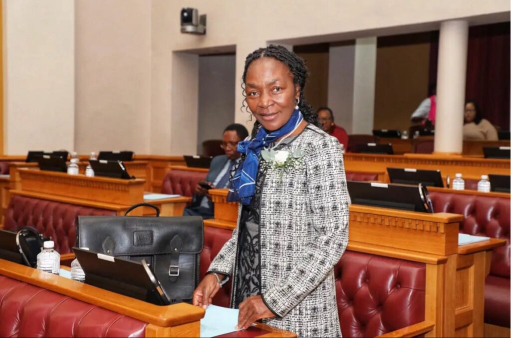 SHAFUDA5 - The Brief | Namibia's Leading Business & Financial News