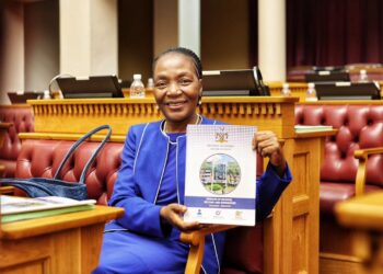 Namibia plans VAT reform and e-invoicing to strengthen tax collection