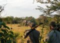HUNTING - The Brief | Namibia's Leading Business & Financial News Namibia’s trophy hunting generates N$292m for communal conservancies
