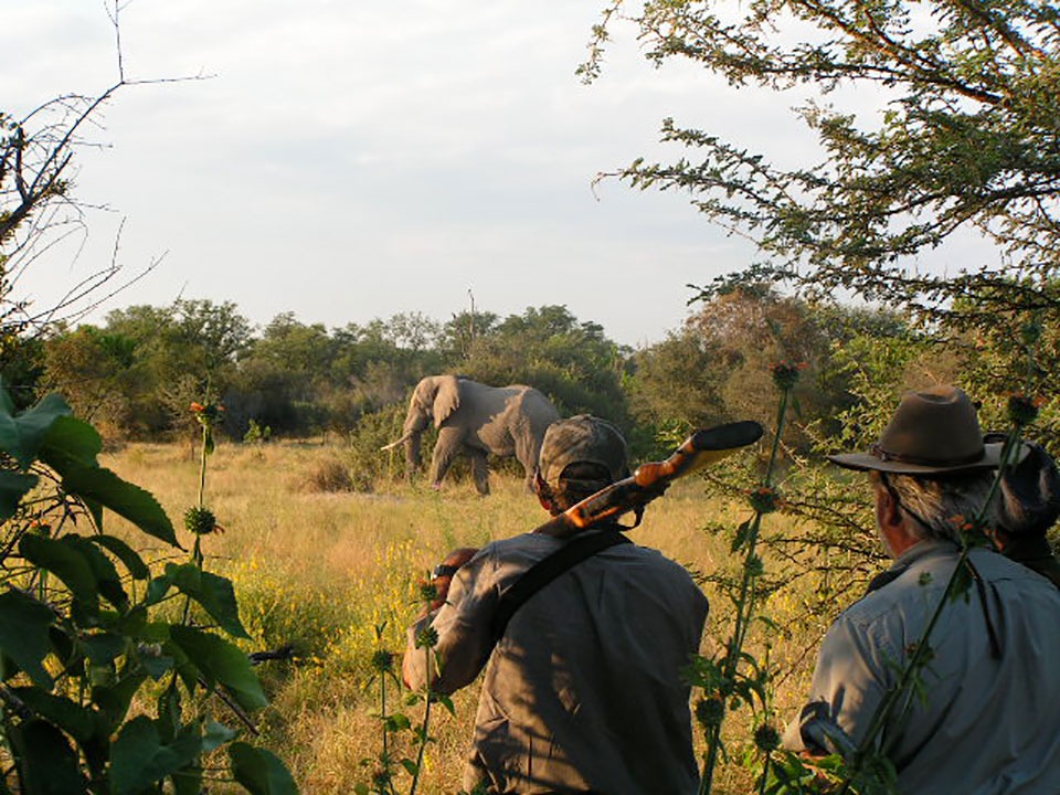 HUNTING - The Brief | Namibia's Leading Business & Financial News