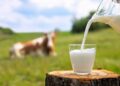 Namibia imports over 1.3 million litres of milk in January