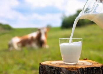 Namibia imports over 1.3 million litres of milk in January