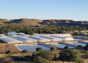 Agriculture ministry explores PPP to revive Hardap aquaculture centre