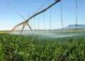 IRRIGATION - The Brief | Namibia's Leading Business & Financial News Namibia’s perennial rivers underutilised as irrigation gaps constrain agriculture
