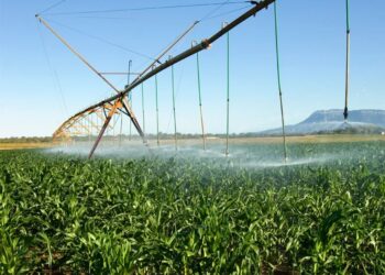 Namibia’s perennial rivers underutilised as irrigation gaps constrain agriculture