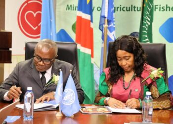 N$163 million funding gap threatens FAO food security programme in Namibia