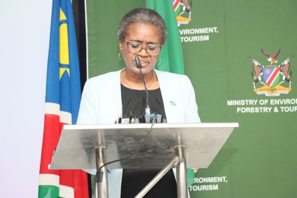INDILENI DANIEL2 - The Brief | Namibia's Leading Business & Financial News