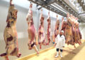 Savanna-Beef-1 - The Brief | Namibia's Leading Business & Financial News Savanna Beef secures export approval to UK, EU and EFTA markets