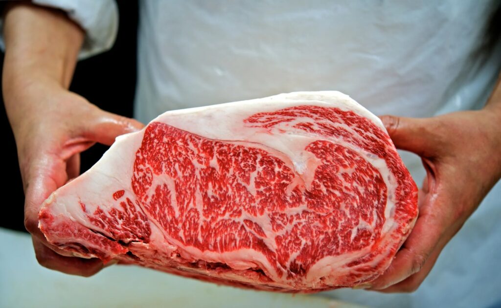 WAGYU - The Brief | Namibia's Leading Business & Financial News
