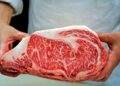 WAGYU - The Brief | Namibia's Leading Business & Financial News Meatco processes Wagyu beef for the first time in push into premium markets