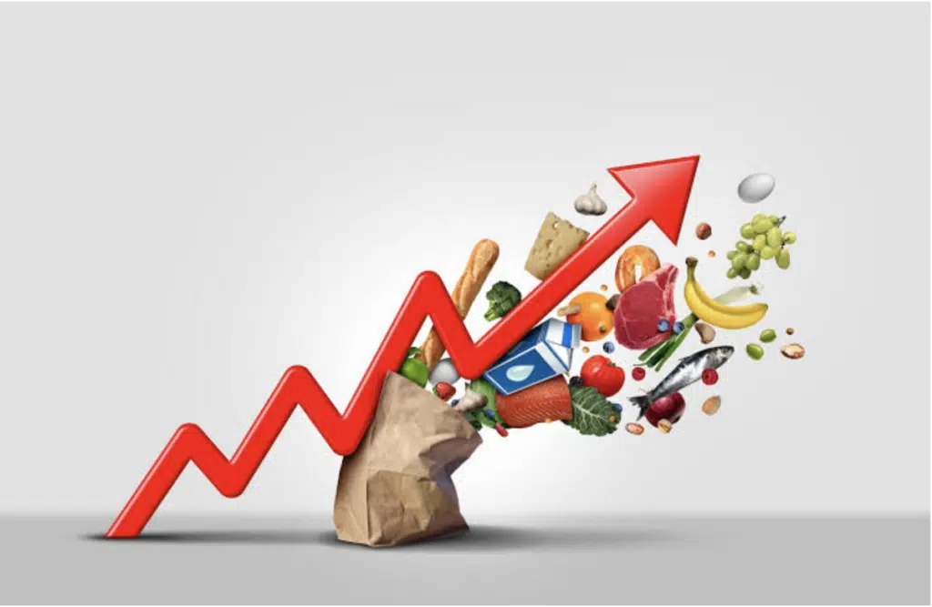 WhatsApp Image 2026-04-28 at 21538 PM - The Brief | Namibia's Leading Business & Financial News Red upward arrow breaking through a grocery bag with assorted foods, signaling growth in the food/retail market.