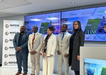 Five professionals in business attire stand in front of screens and a NIPDB banner at a conference event.