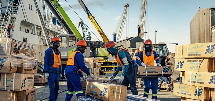 ERONGO MARINE - The Brief | Namibia's Leading Business & Financial News Group of workers in orange safety vests and hard hats handling cardboard boxes at a busy dock, with cranes and stacked pallets in the background.