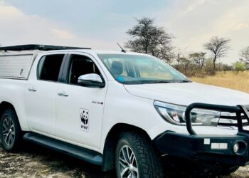 White WWF-branded pickup truck parked on a dry, grassy plain with leafless trees in the distance.