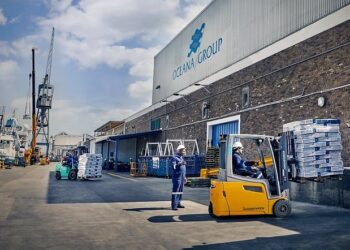 Port loading dock at Ocean Group with forklifts, workers in safety gear, and stacked pallets for shipment by sea transport