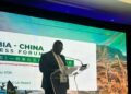 Man in a suit speaks at a clear podium during a Zambia–China Business Forum, with a large screen backdrop showing landscape and wildlife mascots behind him.