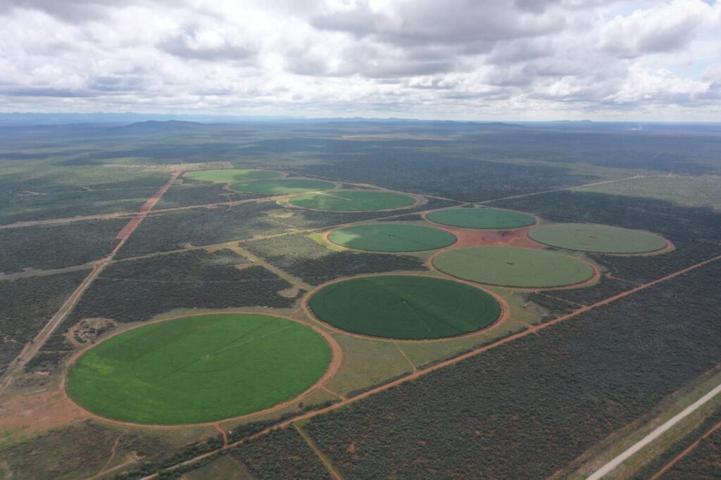 WhatsApp Image 2026-05-28 at 20222 PM - The Brief | Namibia's Leading Business & Financial News Aerial view of circular green crop fields laid out in an arid landscape with dirt roads surrounding them.