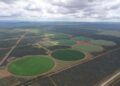 Aerial view of circular green crop fields laid out in an arid landscape with dirt roads surrounding them.