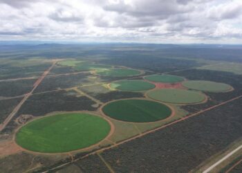 Aerial view of circular green crop fields laid out in an arid landscape with dirt roads surrounding them.