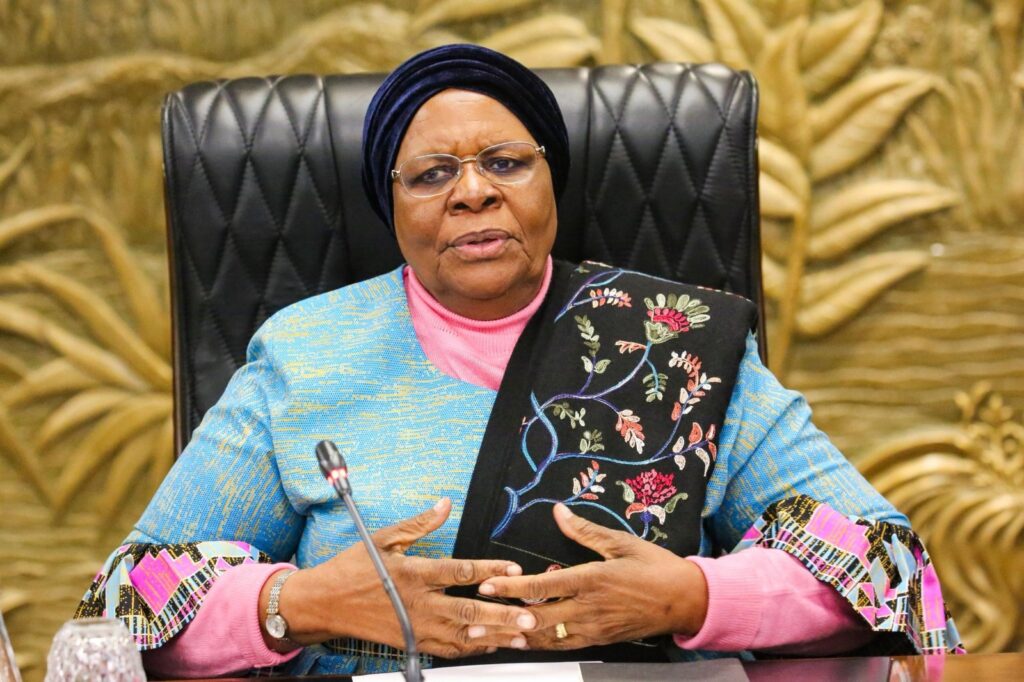 PRESIDENT GENERAL - The Brief | Namibia's Leading Business & Financial News Older woman in a blue patterned jacket and pink sweater, seated at a desk with a microphone in front.