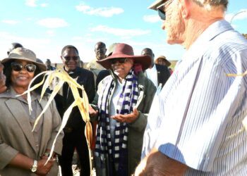 Group of people outdoors, a woman in a wide-brimmed hat and scarf speaks to a crowd while others listen in a sunny field.