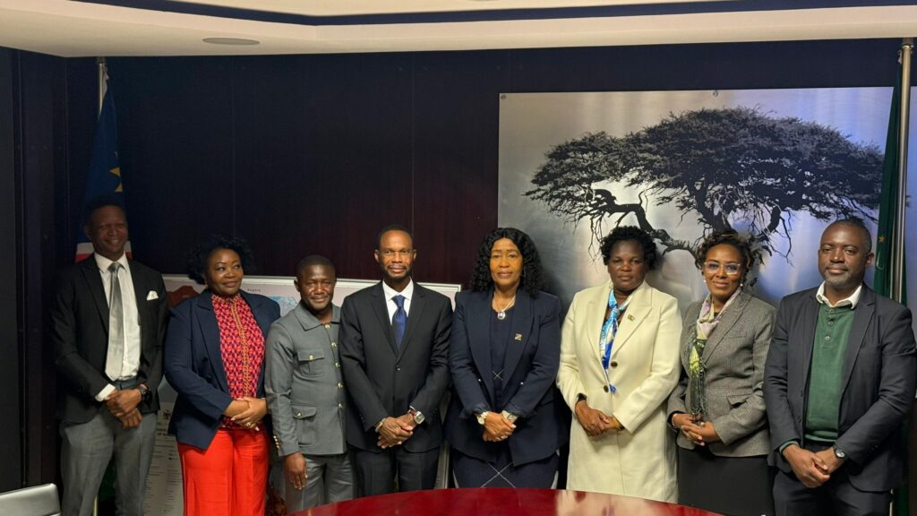 WhatsApp Image 2026-06-11 at 33755 PM - The Brief | Namibia's Leading Business & Financial News Eight professionals in formal attire posing for a group photo in a conference room, flags visible on either side.