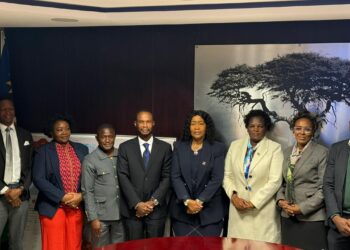 Eight professionals in formal attire posing for a group photo in a conference room, flags visible on either side.