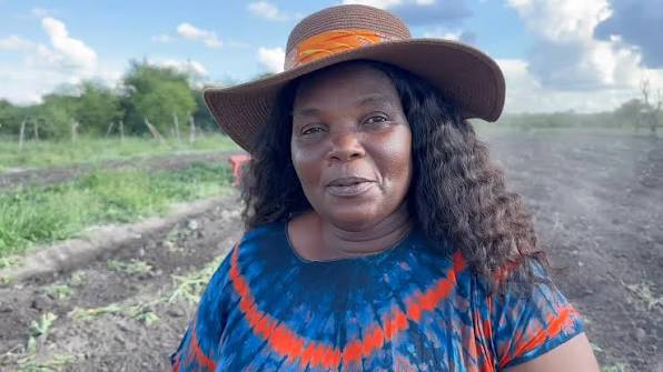 food security - The Brief | Namibia's Leading Business & Financial News Portrait of a woman wearing a wide straw hat and a blue-red tie-dye shirt, standing in a dirt field with greenery in the background.