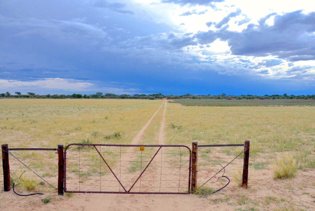 FARM - The Brief | Namibia's Leading Business & Financial News Rusty metal gate and wire fence on a dirt road stretching into a flat savannah under a cloudy blue sky.