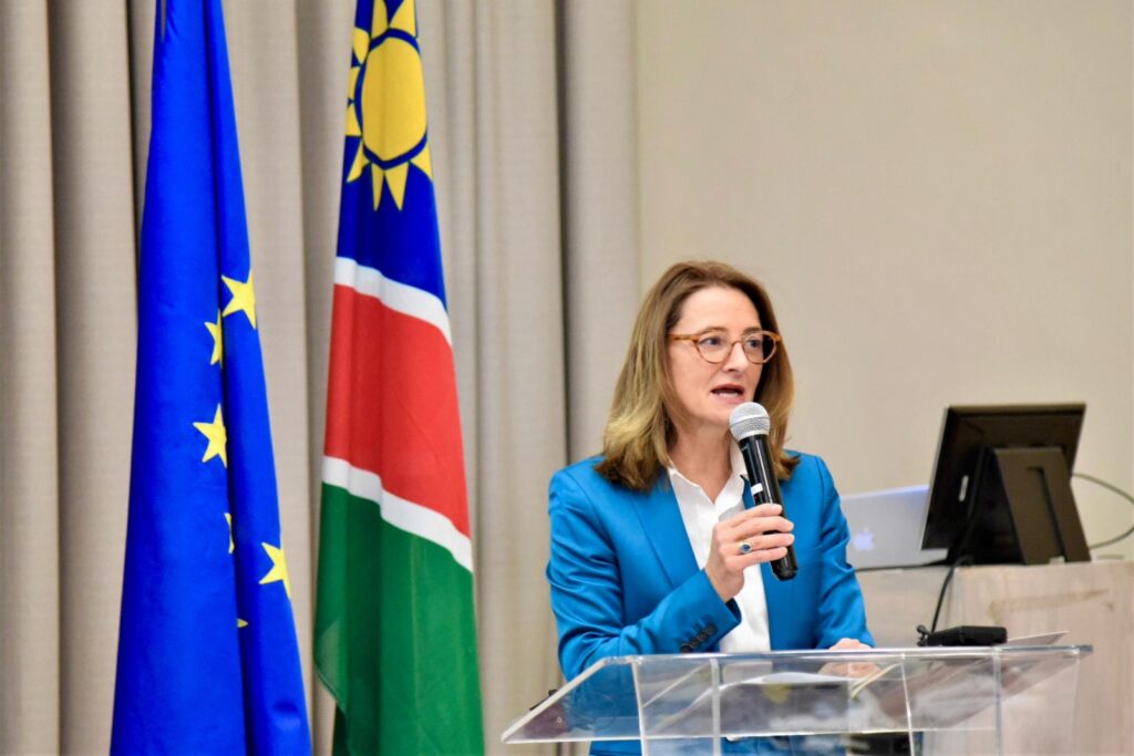 BEATRIZ MARTINS1 - The Brief | Namibia's Leading Business & Financial News Woman in a blue blazer speaks into a handheld microphone at a clear podium, with European and other flags in the background.