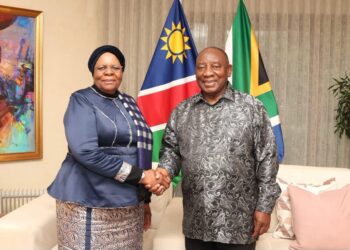 Two officials shake hands in a formal room, with the Namibian and South African flags behind them and a painting on the wall.
