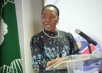 ERICAH9 - The Brief | Namibia's Leading Business & Financial News A woman in a floral dark dress with a pearl necklace speaks at a transparent podium with a microphone, a flag pin on her chest.
