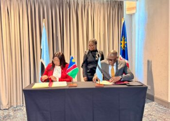 Two officials sign documents at a table with small flags (Namibia and Botswana) as a colleague looks on in a formal signing ceremony behind tall curtains and national flags.