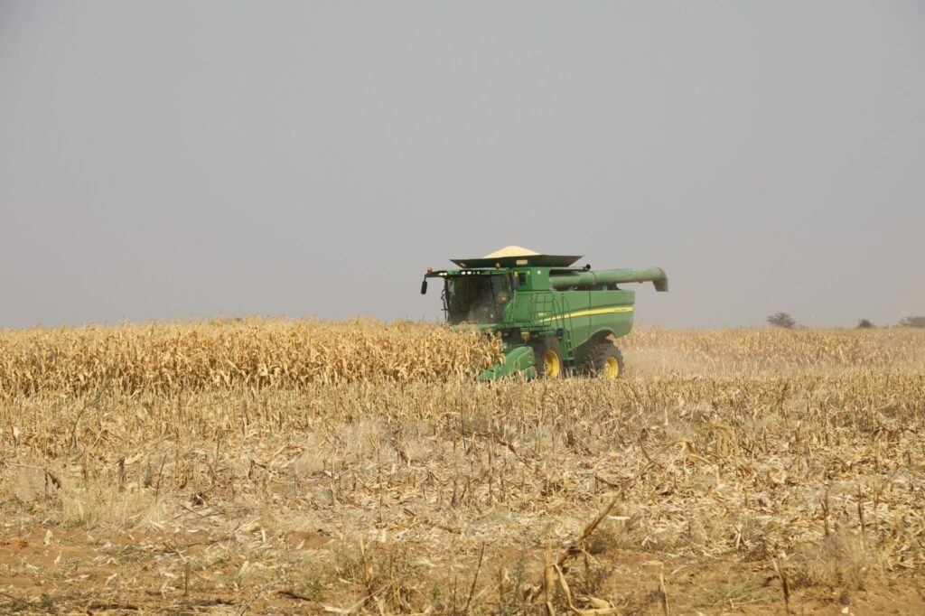 AGRICULTURE2 - The Brief | Namibia's Leading Business & Financial News Green combine harvester working in a dry cornfield during harvest, dust rising behind it.