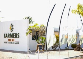 HARTLIEF - The Brief | Namibia's Leading Business & Financial News White storefront wall with FARMERS MEAT sign and Pure Namibian Lamb tagline, palm trees behind, plus tall fabric flags along the walkway nearby.
