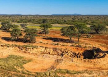 Biomass - The Brief | Namibia's Leading Business & Financial News Arid landscape with reddish soil, scattered green trees, and a distant road under a clear blue sky.
