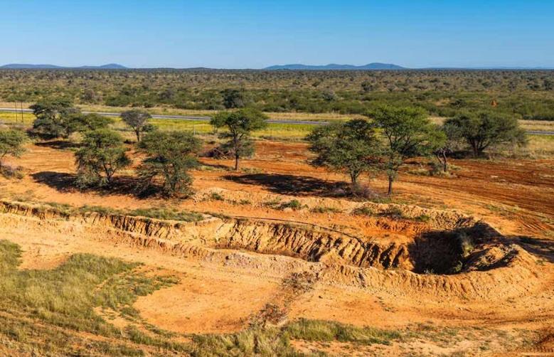 Biomass - The Brief | Namibia's Leading Business & Financial News Arid landscape with reddish soil, scattered green trees, and a distant road under a clear blue sky.